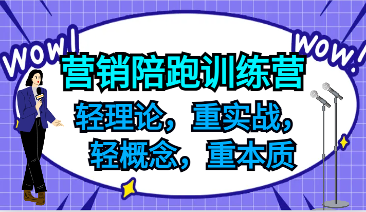 营销陪跑训练营，轻理论，重实战，轻概念，重本质，适合中小企业和初创企业的老板-蓝天项目网