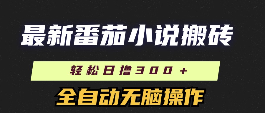 （11904期）最新番茄小说搬砖，日撸300＋！全自动操作，可矩阵放大-蓝天项目网