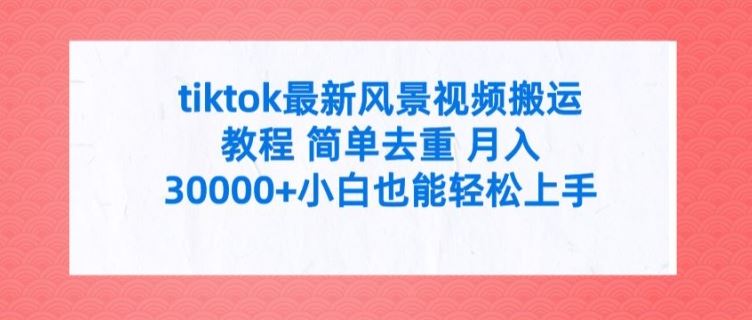 tiktok最新风景视频搬运教程 简单去重 月入3W+小白也能轻松上手【揭秘】-蓝天项目网