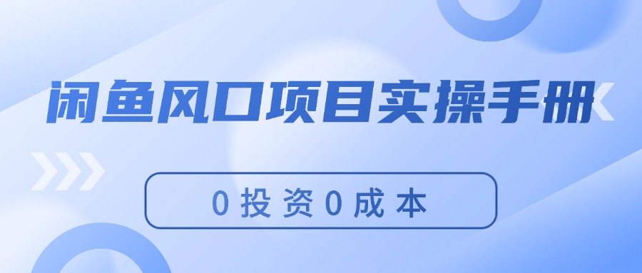 （11923期）闲鱼风口项目实操手册，0投资0成本，让你做到，月入过万，新手可做-蓝天项目网