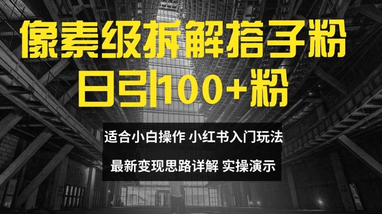 像素级拆解搭子粉，日引100+，小白看完可上手，最新变现思路详解【揭秘】-蓝天项目网