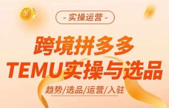 跨境拼多多TEMU实操与选品，多多temu跨境选品运营实操-蓝天项目网