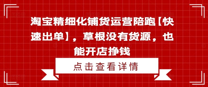 淘宝精细化铺货运营陪跑【快速出单】，草根没有货源，也能开店挣钱-蓝天项目网