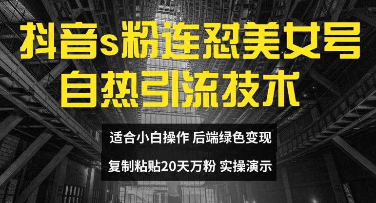 抖音s粉连怼美女号自热引流技术复制粘贴，20天万粉账号，无需实名制，矩阵操作【揭秘】-蓝天项目网