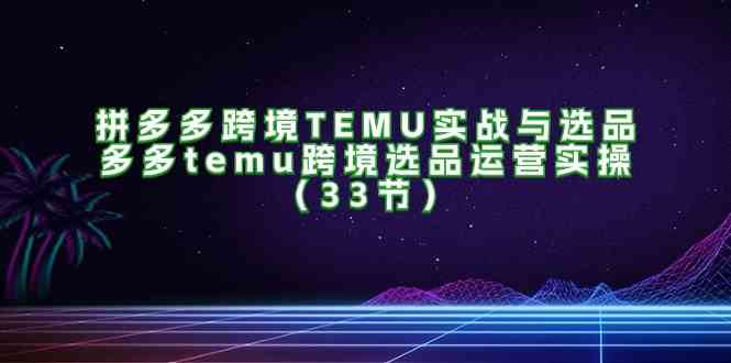 拼多多跨境TEMU实战与选品，多多temu跨境选品运营实操（33节）-蓝天项目网