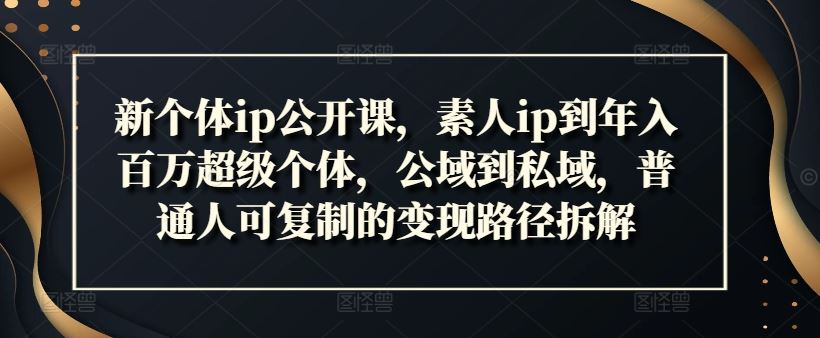 新个体ip公开课，素人ip到年入百万超级个体，公域到私域，普通人可复制的变现路径拆解-蓝天项目网