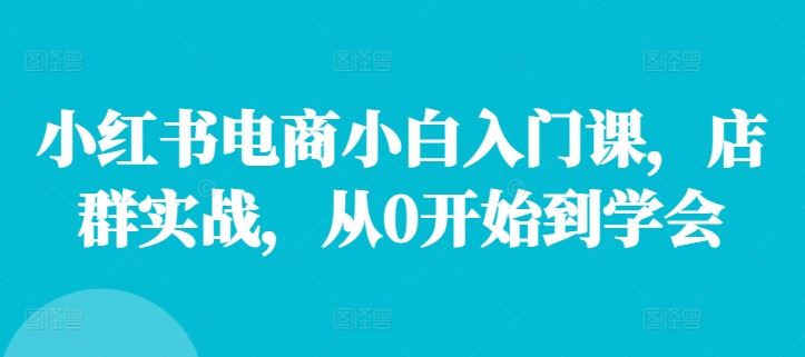 小红书电商小白入门课，店群实战，从0开始到学会-蓝天项目网