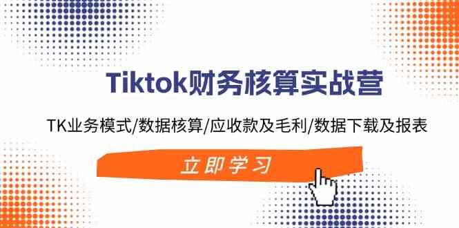 Tiktok财务核算实战营：TK业务模式/数据核算/应收款及毛利/数据下载及报表-蓝天项目网