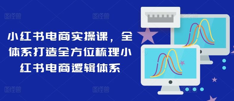 小红书电商实操课，全体系打造全方位梳理小红书电商逻辑体系-蓝天项目网