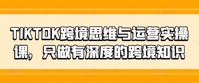 TIKTOK跨境思维与运营实操课，只做有深度的跨境知识-蓝天项目网