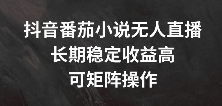 抖音番茄小说无人直播，长期稳定收益高，可矩阵操作【揭秘】-蓝天项目网