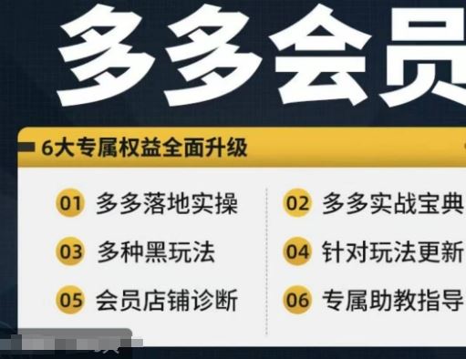 拼多多会员，拼多多实战宝典+实战落地实操，从新手到高阶内容全面覆盖-蓝天项目网