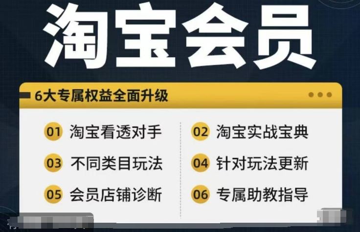 淘宝会员【淘宝所有课程，全面分析对手】，初级到高手全系实战宝典-蓝天项目网