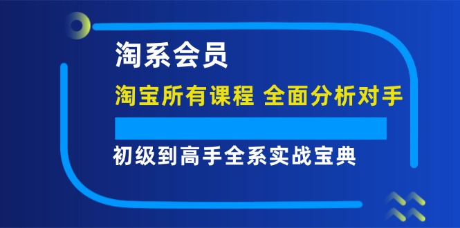 （12055期）淘系会员【淘宝所有课程，全面分析对手】，初级到高手全系实战宝典-蓝天项目网