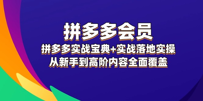 （12056期）拼多多 会员，拼多多实战宝典+实战落地实操，从新手到高阶内容全面覆盖-蓝天项目网