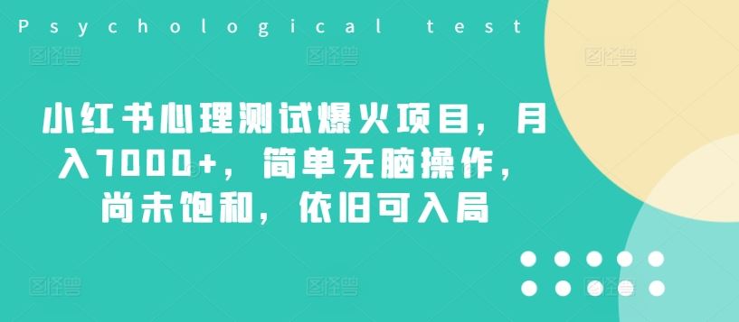 小红书心理测试爆火项目，月入7000+，简单无脑操作，尚未饱和，依旧可入局-蓝天项目网