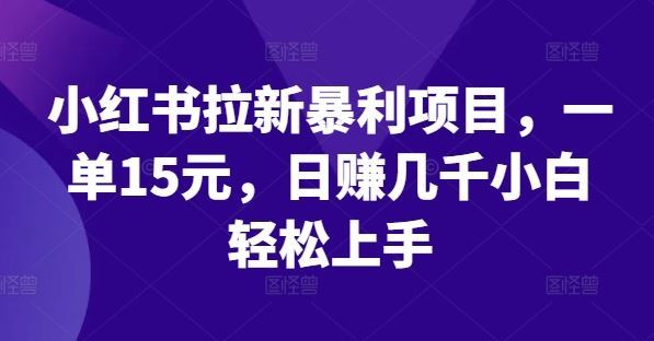 小红书拉新暴利项目，一单15元，日赚几千小白轻松上手【揭秘】-蓝天项目网