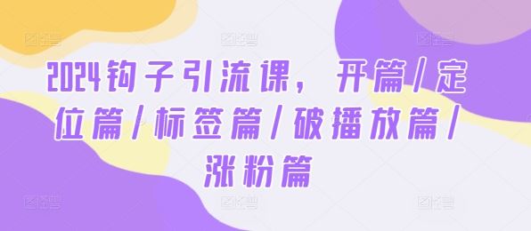 2024钩子引流课，开篇/定位篇/标签篇/破播放篇/涨粉篇-蓝天项目网