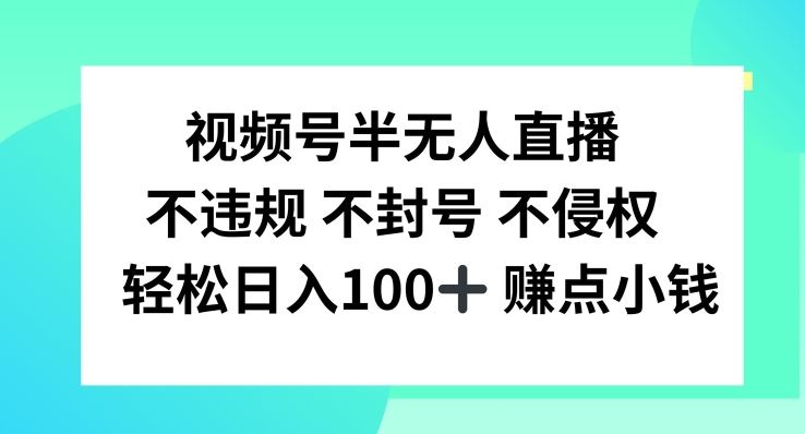 视频号半无人直播，不违规不封号，轻松日入100+【揭秘】-蓝天项目网