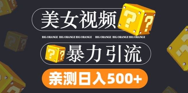 搬运tk美女视频全网分发，日引s粉300+，轻松变现，不限流量不封号【揭秘】-蓝天项目网