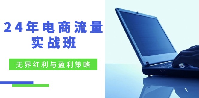 （12168期）24年电商流量实战班：无界 红利与盈利策略，终极提升/关键词优化/精准…-蓝天项目网