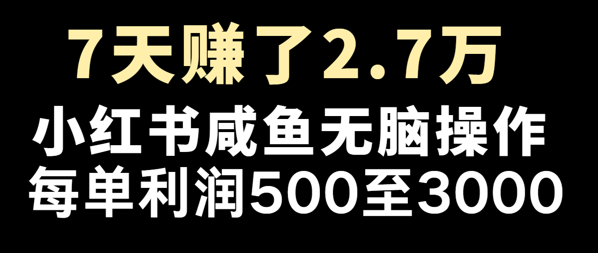 七天赚了2.7万！每单利润最少500+，轻松月入5万+小白有手就行-蓝天项目网