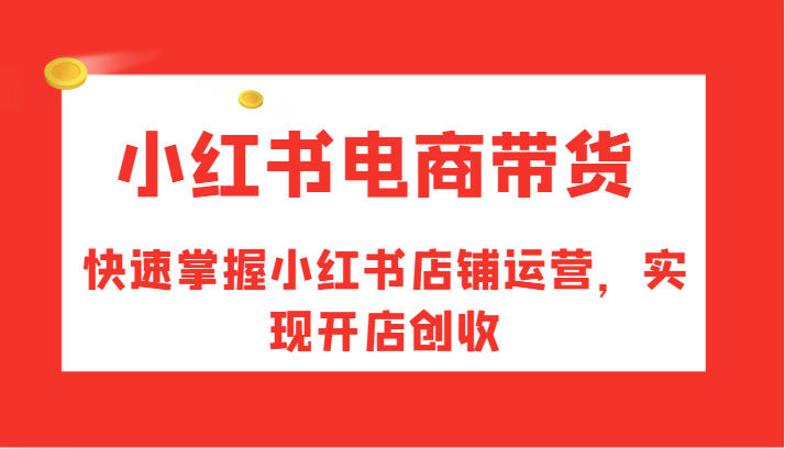 小红书电商带货，快速掌握小红书店铺运营，实现开店创收-蓝天项目网