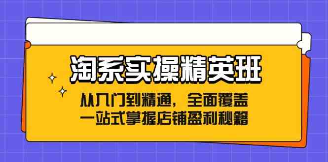 淘系实操精英班：从入门到精通，全面覆盖，一站式掌握店铺盈利秘籍-蓝天项目网