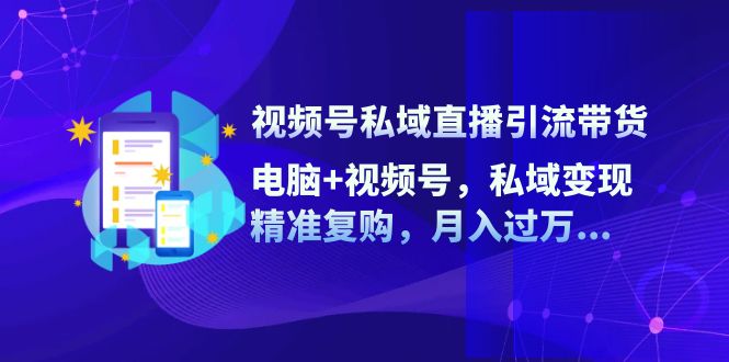 视频号私域直播引流带货：电脑+视频号，私域变现，精准复购，月入过万-蓝天项目网