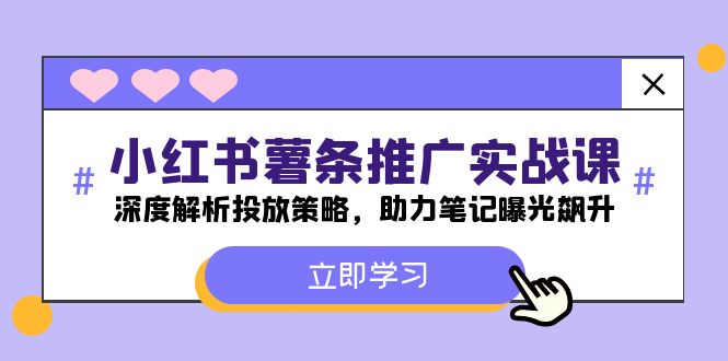 小红书-薯条推广实战课：深度解析投放策略，助力笔记曝光飙升-蓝天项目网