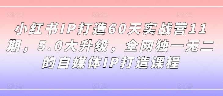 小红书IP打造60天实战营11期，5.0大升级，全网独一无二的自媒体IP打造课程-蓝天项目网