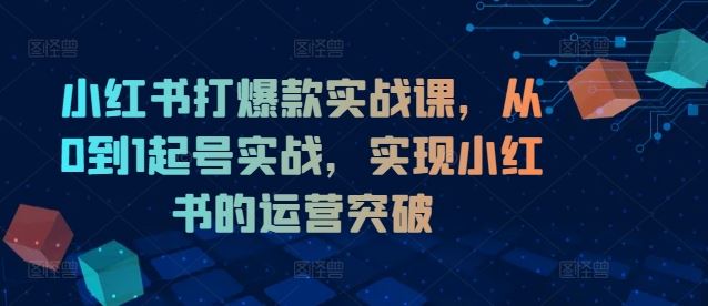 小红书打爆款实战课，从0到1起号实战，实现小红书的运营突破-蓝天项目网