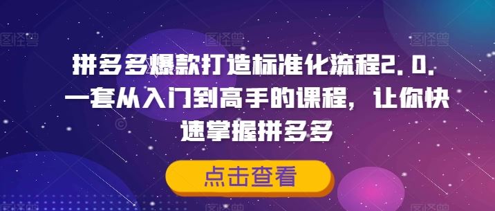 拼多多爆款打造标准化流程2.0，一套从入门到高手的课程，让你快速掌握拼多多-蓝天项目网