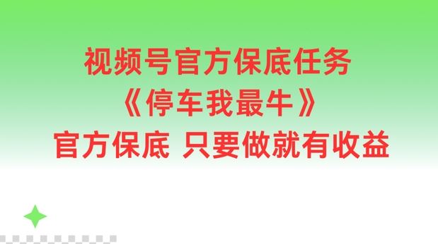 视频号官方保底任务，停车我最牛，官方保底只要做就有收益【揭秘】-蓝天项目网