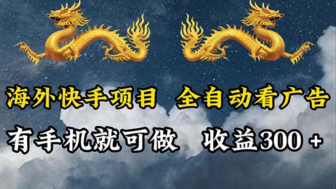 （12175期）海外快手项目，利用工具全自动看广告，每天轻松 300+-蓝天项目网