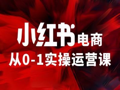 小红书电商从0-1实操运营课，让你从小白到精英-蓝天项目网