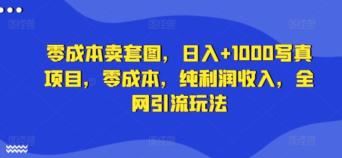 零成本卖套图，日入+1000写真项目，零成本，纯利润收入，全网引流玩法-蓝天项目网