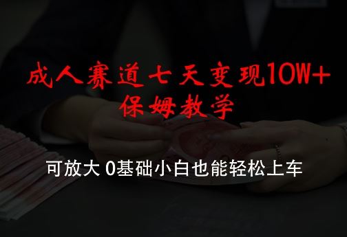 成人赛道七天变现10W+保姆教学，可放大，0基础小白也能轻松上车【揭秘】-蓝天项目网