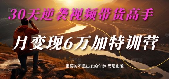 30天逆袭视频带货高手，单月变现6万加特训营-麦子甜-蓝天项目网