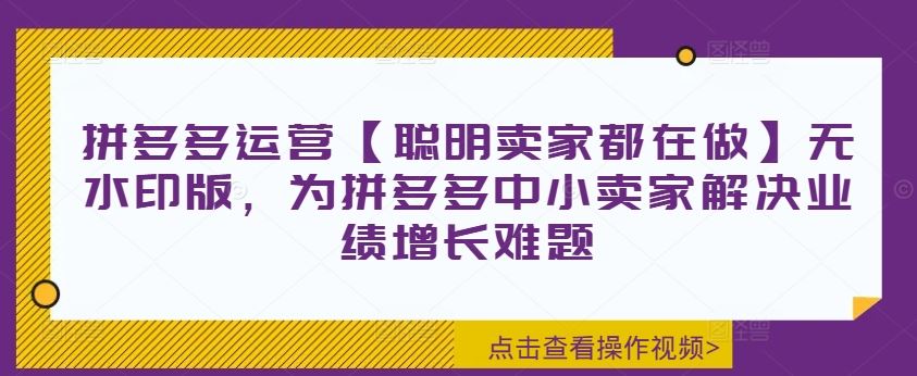 拼多多运营【聪明卖家都在做】无水印版，为拼多多中小卖家解决业绩增长难题-蓝天项目网