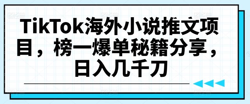 TikTok海外小说推文项目，榜一爆单秘籍分享，日入几千刀-蓝天项目网