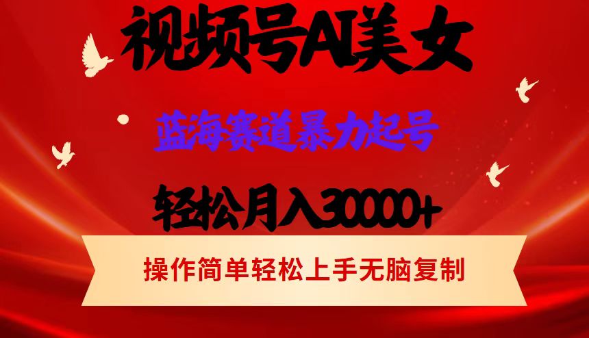 （12178期）视频号AI美女跳舞，轻松月入30000+，蓝海赛道，流量池巨大，起号猛，当…-蓝天项目网