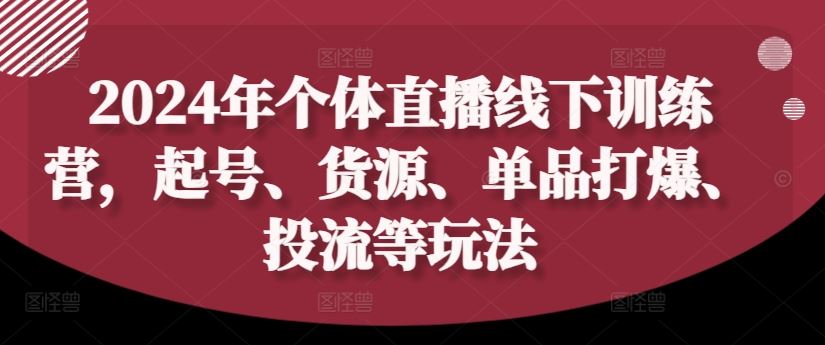 2024年个体直播训练营，起号、货源、单品打爆、投流等玩法-蓝天项目网