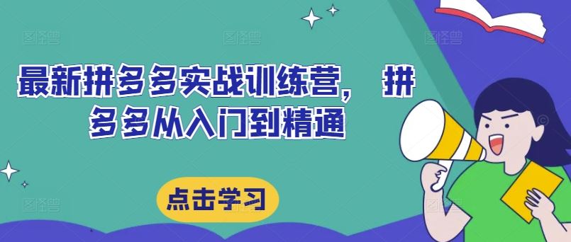 最新拼多多实战训练营， 拼多多从入门到精通-蓝天项目网