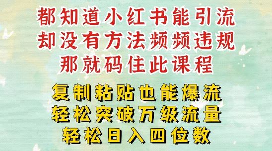 小红书靠复制粘贴一周突破万级流量池干货，以减肥为例，每天稳定引流变现四位数【揭秘】-蓝天项目网