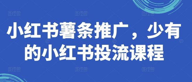 小红书薯条推广，少有的小红书投流课程-蓝天项目网