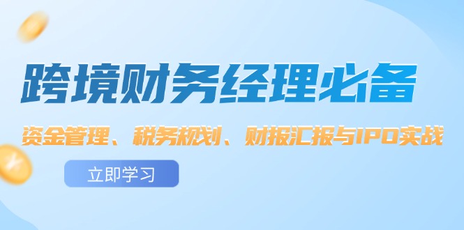 （12323期）跨境 财务经理必备：资金管理、税务规划、财报汇报与IPO实战-蓝天项目网