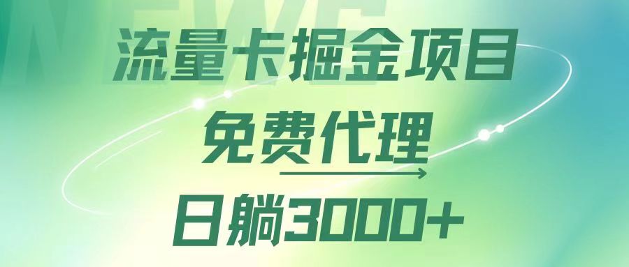 （12321期）流量卡掘金代理，日躺赚3000+，变现暴力，多种推广途径-蓝天项目网