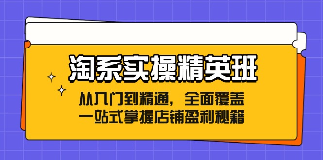 （12276期）淘系实操精英班：从入门到精通，全面覆盖，一站式掌握店铺盈利秘籍-蓝天项目网