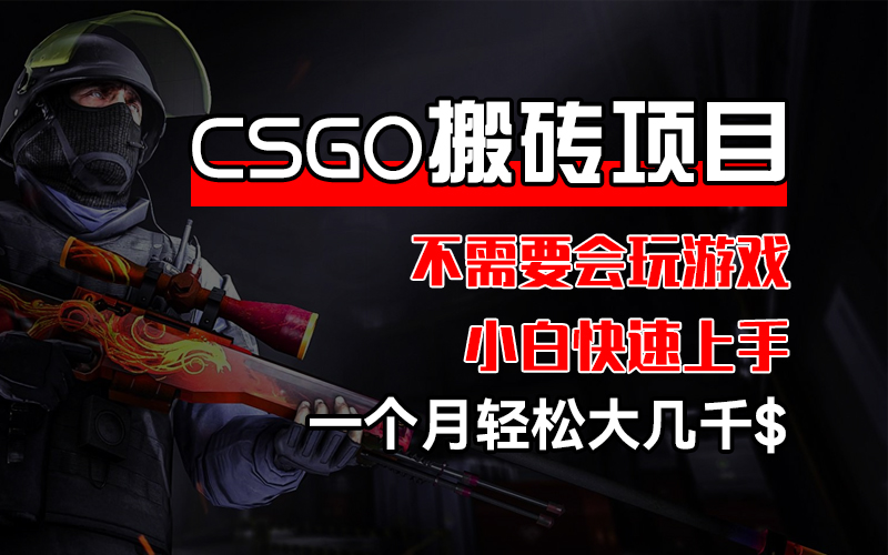 （12332期）CSGO 装备搬砖项目，操作简单，不需要会玩游戏，小白也能快速上手，一…-蓝天项目网